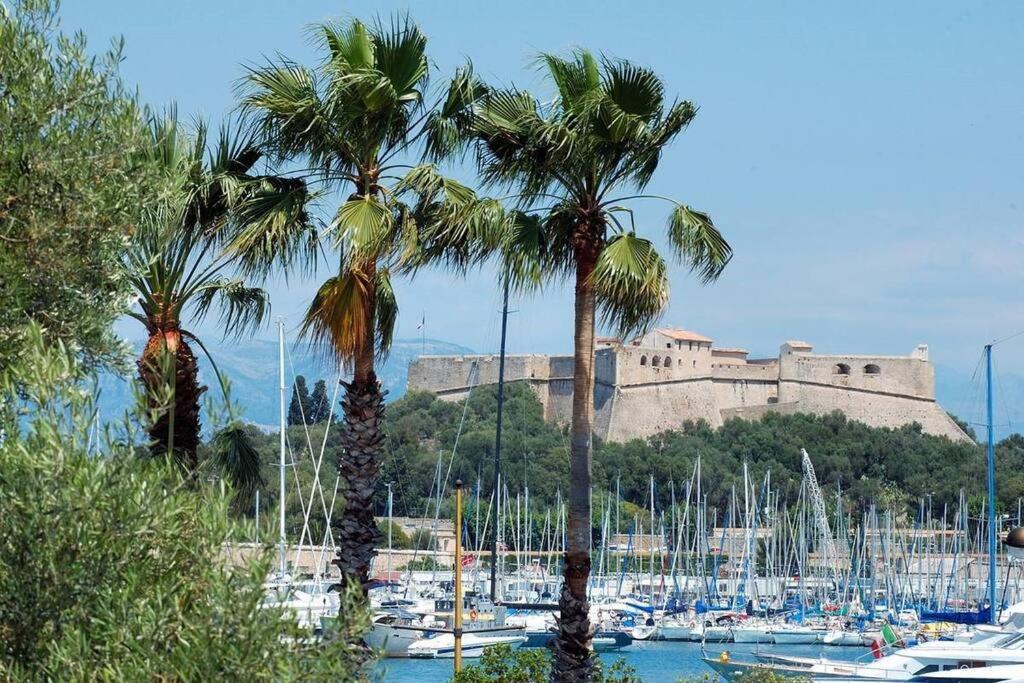3P Central Refait A Neuf - Parking L430Cm X W275Cm Antibes Dış mekan fotoğraf